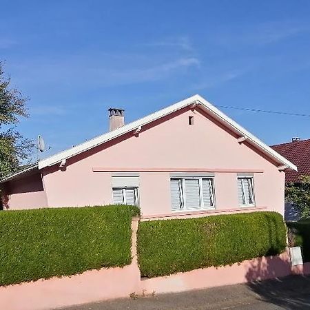 Superbe Maison 3 Chambres 1 Etage Et Sous-Sol, Avec Jardin Et Terrasse Altkirch Exteriör bild