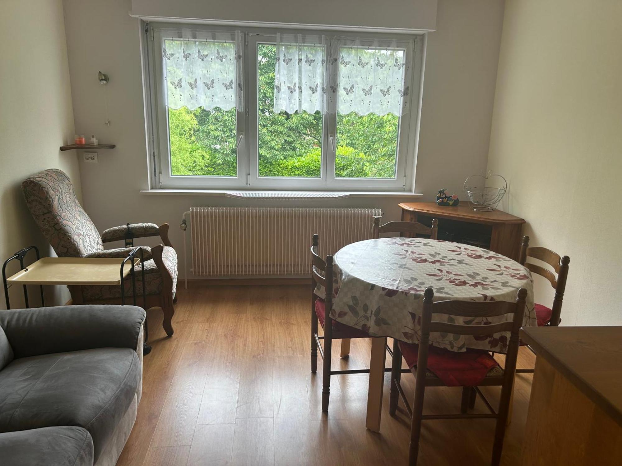 Superbe Maison 3 Chambres 1 Etage Et Sous-Sol, Avec Jardin Et Terrasse Altkirch Exteriör bild